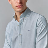 CAMISA YALE RAYA VERDE
